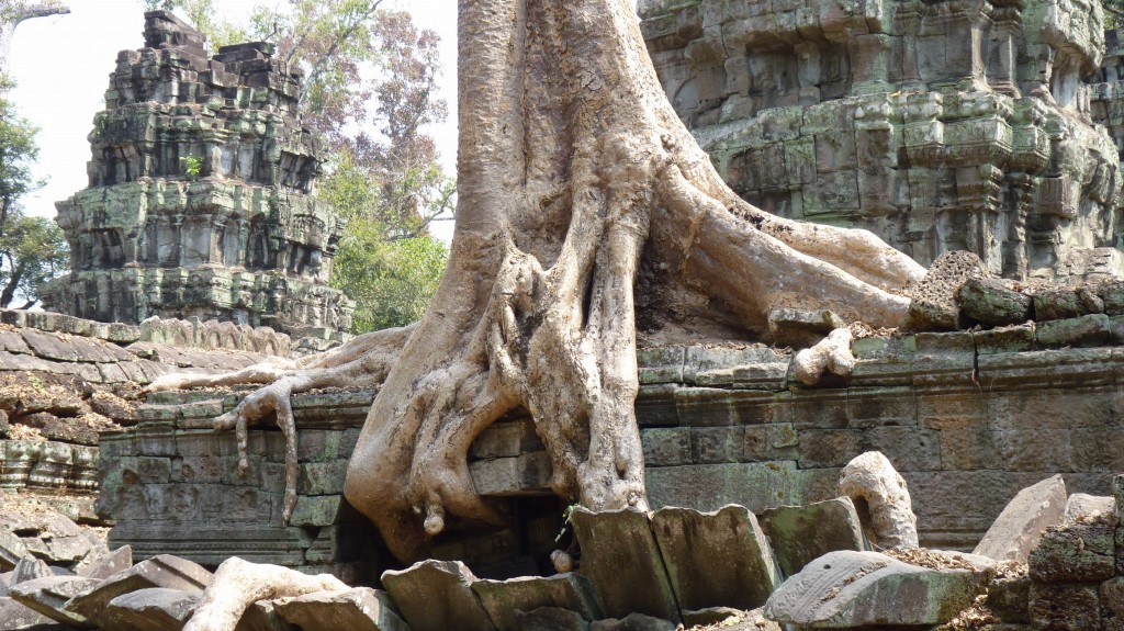 P1060945