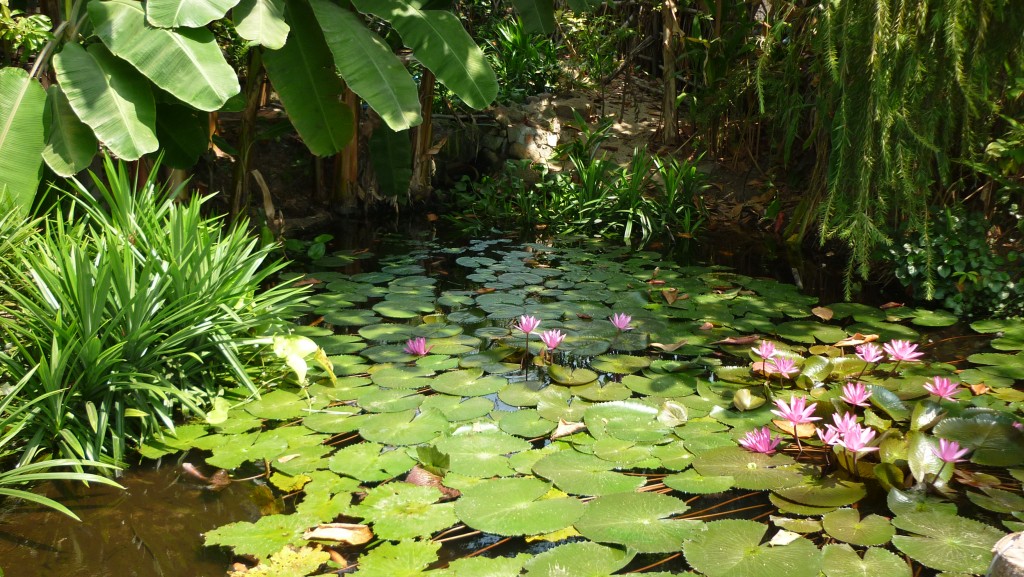 P1090407