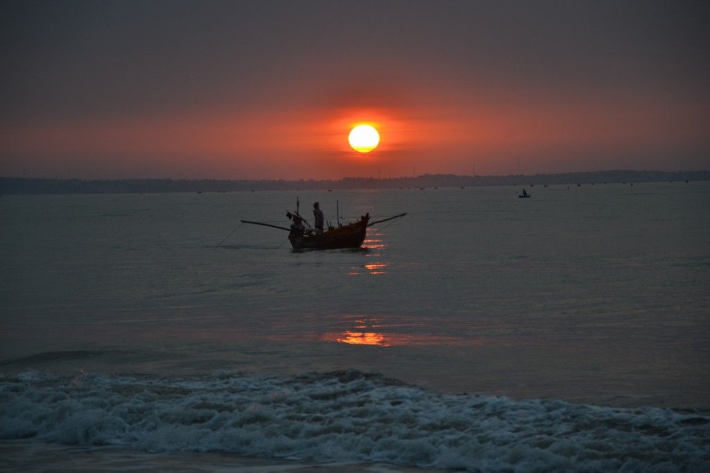 PDSC_0441