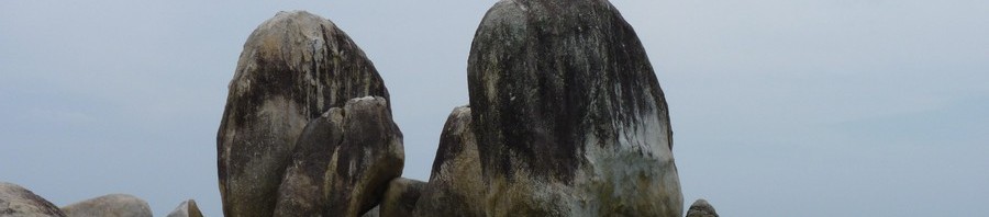 P1133
