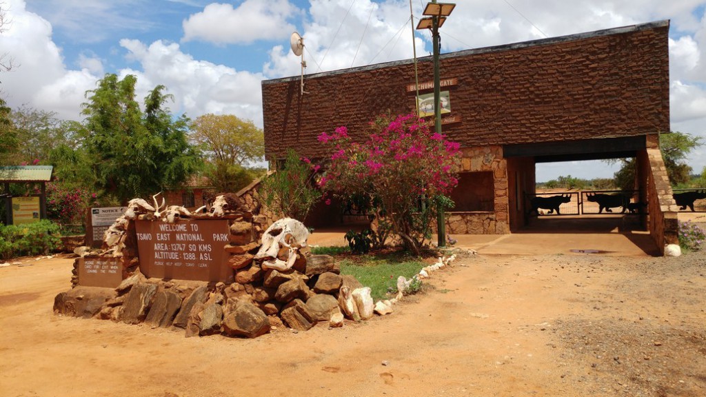 20161119_113523_Burst01